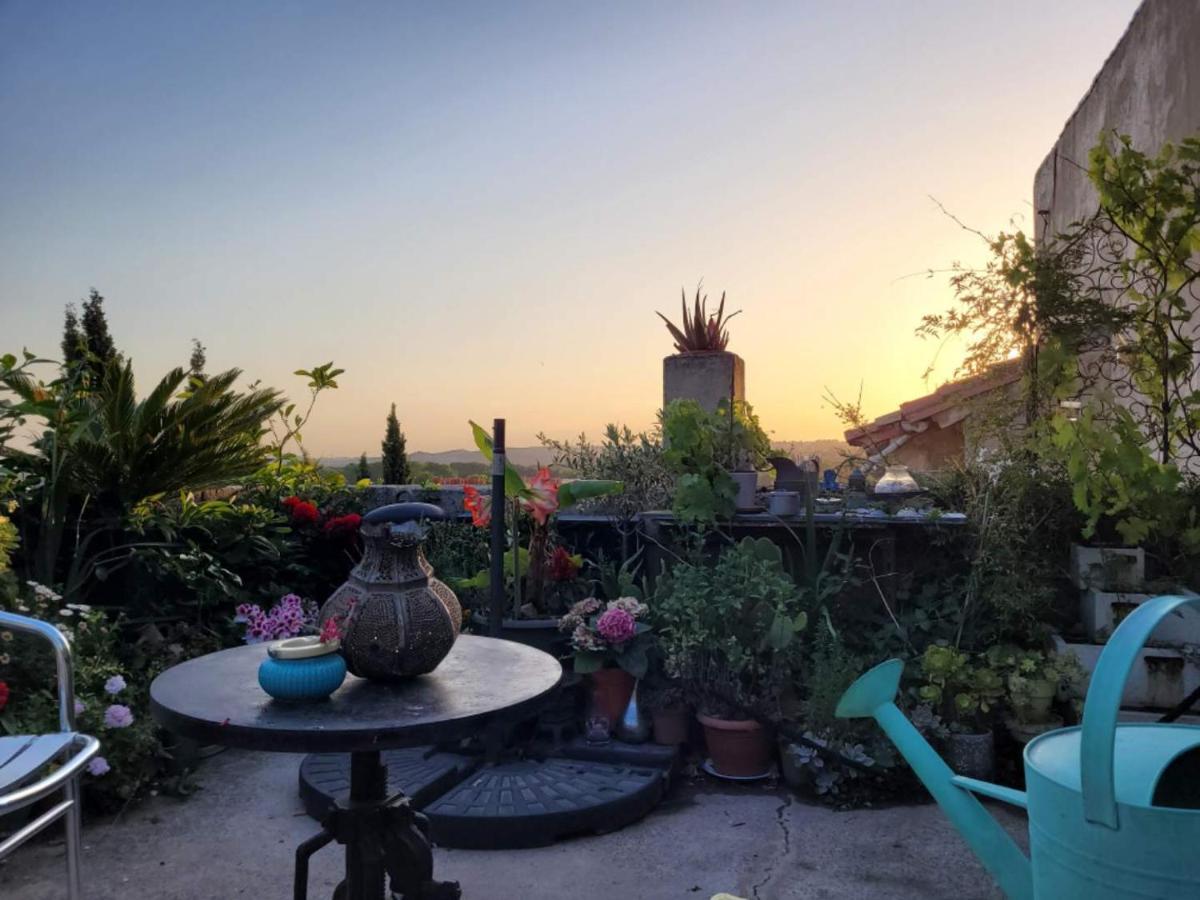 Ferienwohnung Un Nid Sur Les Toits Face Au Palais Des Papes Avignon Exterior foto