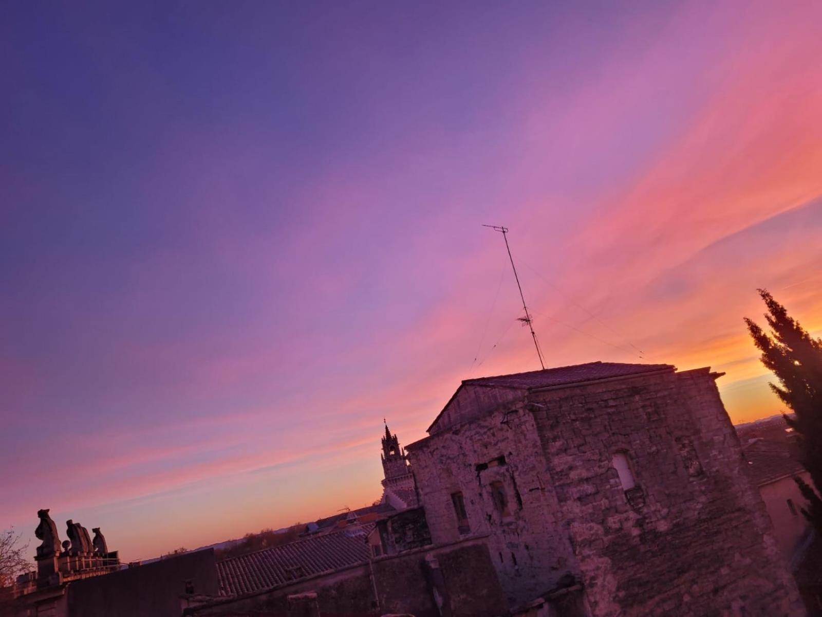 Ferienwohnung Un Nid Sur Les Toits Face Au Palais Des Papes Avignon Exterior foto