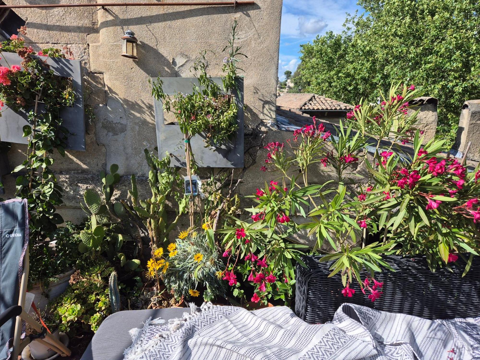 Ferienwohnung Un Nid Sur Les Toits Face Au Palais Des Papes Avignon Exterior foto